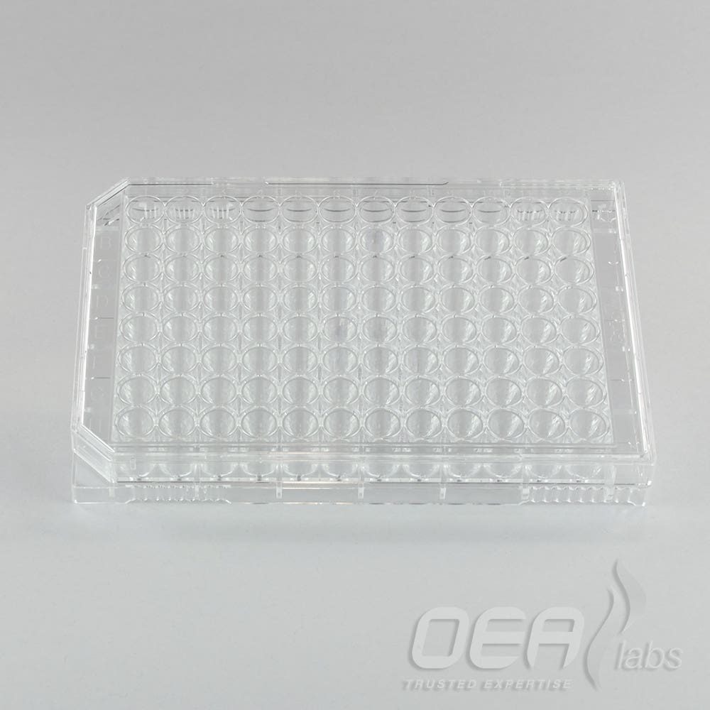 Capsule Tray & Lid, Empty, 96 Holes M10200.001E
