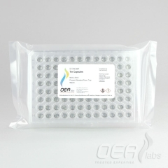 Tin Capsules, Pressed, Std Clean, 8 x 5mm, Tray C11470.096P