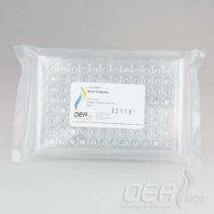 Silver Capsules, Pressed, Std Clean, 6 x 4mm, Tray C12350.096P