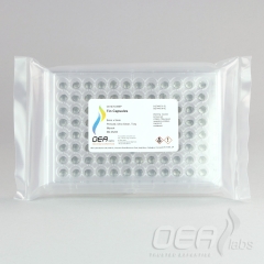 Tin Capsules, Pressed, Ultra-Clean, 8 x 5mm, Tray C61470.096P