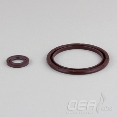 Pneumatic Actuator Seal Kit AS200LS E21415.001E