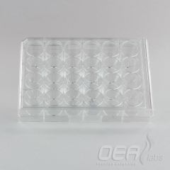 Capsule Tray & Lid, Empty, 24 Holes M10210.001E